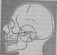 ������������ ������