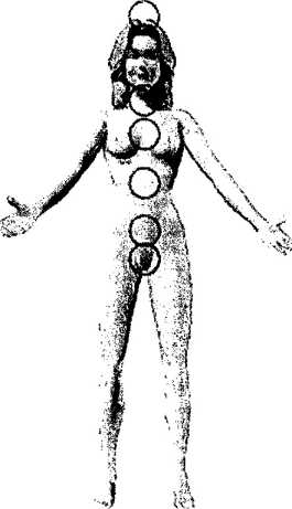 ���� ����� ��������