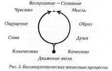 �������� � �������