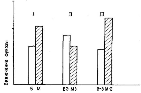 ������ � ��������� ������