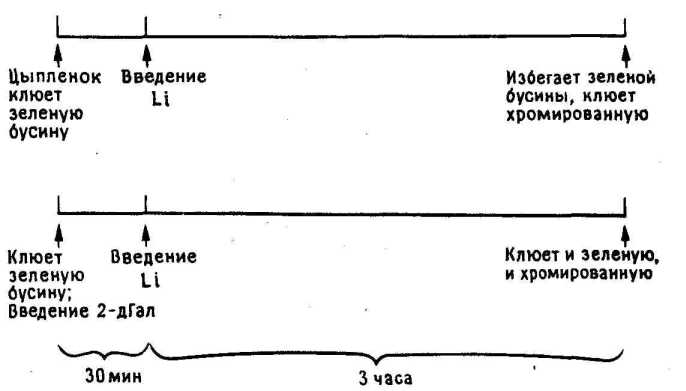 ������� �� �����?