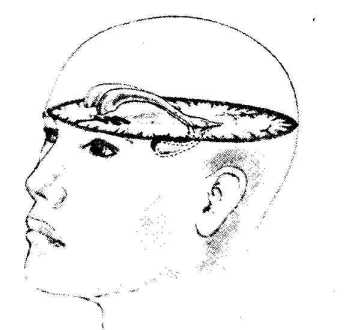 �������� ���� ��������