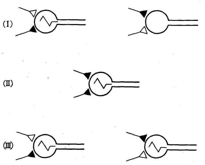 ������� �����