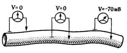 �������������� ���������