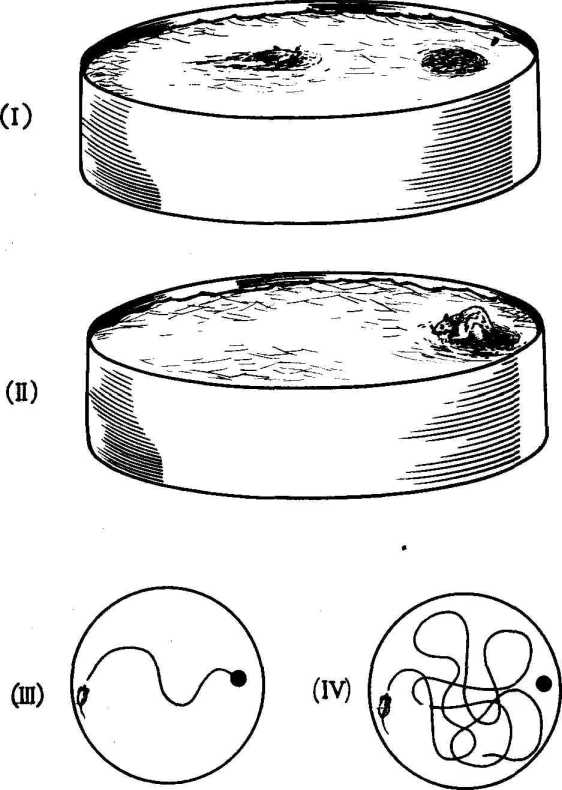 ��������� ��� ����������� �����