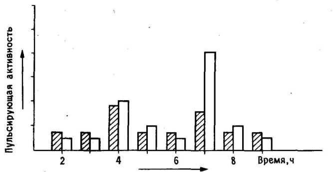 ������� ����� ������