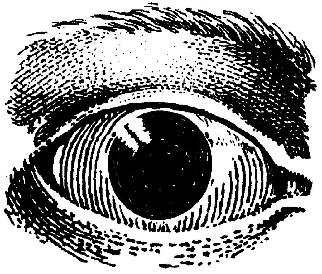 ��������� ����������� ���� ����