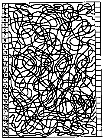 �������������.���� ��� �����������