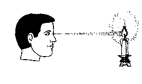 ��� ������ ��������