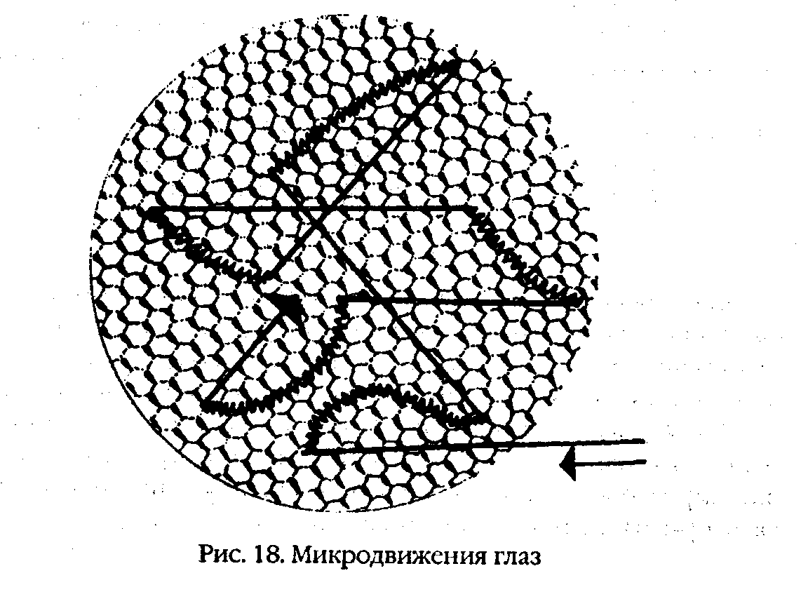 ������ ������������ ��������� ����