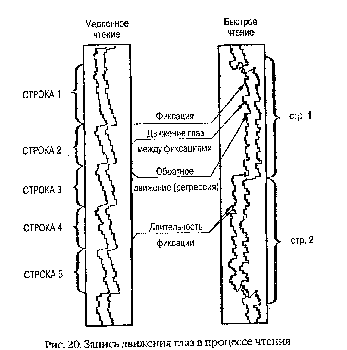 ������ ������������ ��������� ����