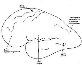 ���������������� �������� ������