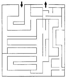 ������������ ����������