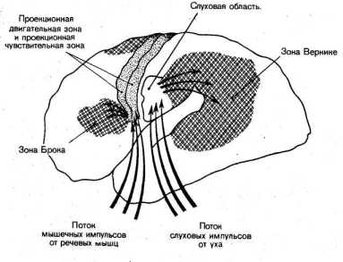 ���������� ����������� ��� ������