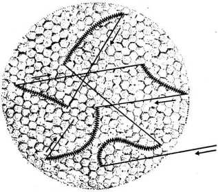 �������� ���� � �������� ������