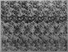 ���������� �� ������������ ���� ��� �����.