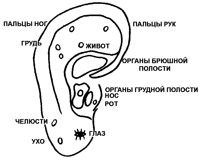 �������� ������������� �������� �� ����� ��������