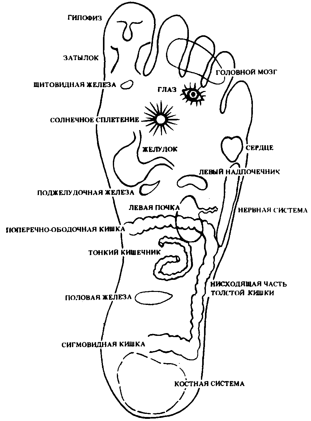 �������� ������������� �������� �� ����� ��������