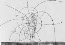 VIII ���������� ��������� ���