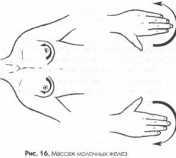 ������� ���� ���������� ����