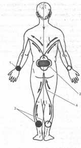 ������� �������� ��������