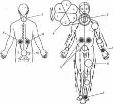 ����� ������� �����