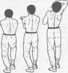 ����� �����������