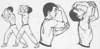 ����� �����������