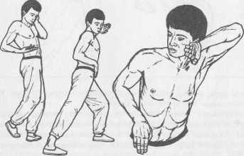 ����� �����������