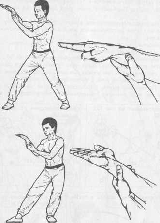 ����� �����������