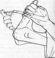 ����� �������