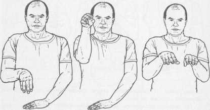 ����� �������