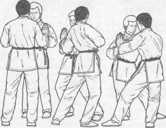 ������ ���������