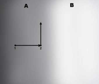 ��� ���������� �� ���������� ������?