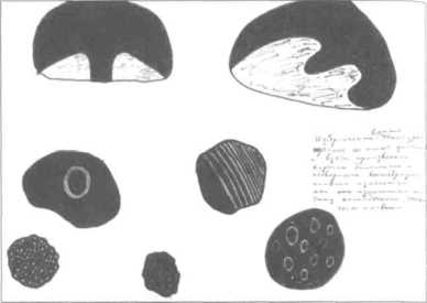 ������ ������� ������������� ������������������ �����