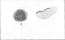 ������ ������� ������������� ������������������ �����