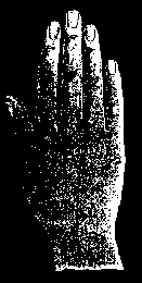 Большой палец