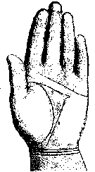 ЛИНИИ НА ЛАДОННОЙ ПОВЕРХНОСТИ РУКИ И ИХ ЗНАЧЕНИЕ