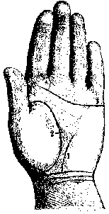 ЛИНИИ НА ЛАДОННОЙ ПОВЕРХНОСТИ РУКИ И ИХ ЗНАЧЕНИЕ