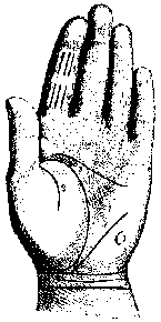 ЛИНИИ НА ЛАДОННОЙ ПОВЕРХНОСТИ РУКИ И ИХ ЗНАЧЕНИЕ