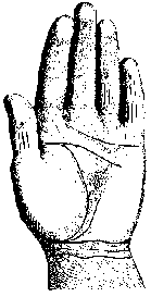 Измерение руки (хирометрия)