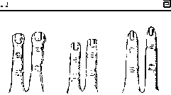 Мидова И. - Хирософия. Пособие для хиромантов