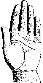 Измерение руки (хирометрия)