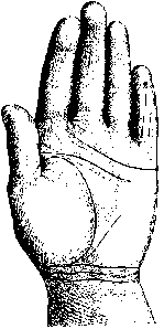 Измерение руки (хирометрия)