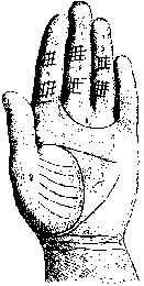 Измерение руки (хирометрия)