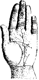 Измерение руки (хирометрия)