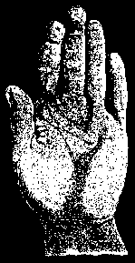 Большой палец