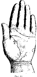 Измерение руки (хирометрия)