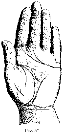 ��������� ���� (����������)