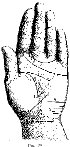 ��������� ���� (����������)